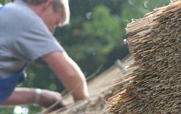 professional Lupin thatchers