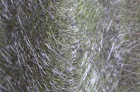 Lupin fibreglass roof work