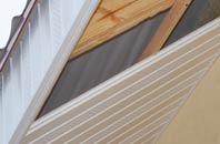 rated Lupin soffit repair companies